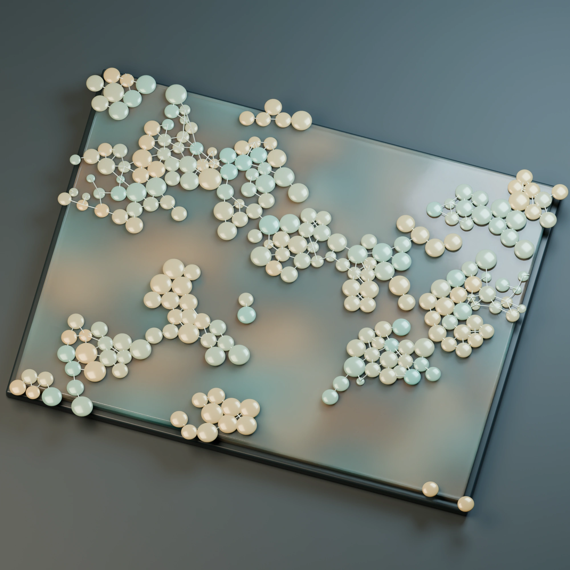 Early cell contact network photographed as a shallow gel